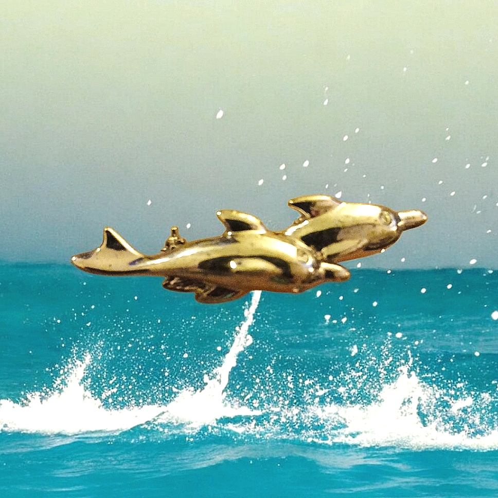 Dolphin Pin